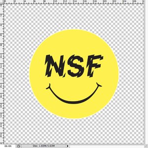 “NSF”的封面