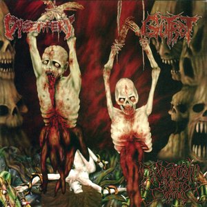 Image for 'Excruciatingly Euphoric Torment'