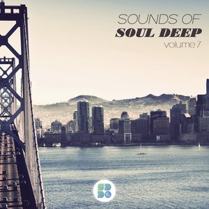 Image for 'Sounds of Soul Deep, Vol. 7'