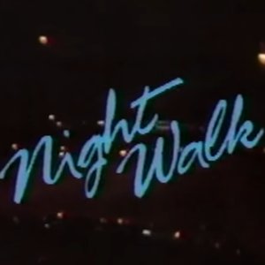 Image for 'night walk'