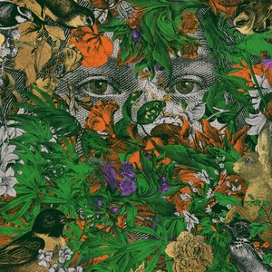 Image for 'Ver Sacrum'