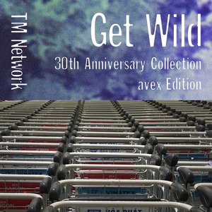 'GET WILD 30th Anniversary Collection (avex Edition)'の画像