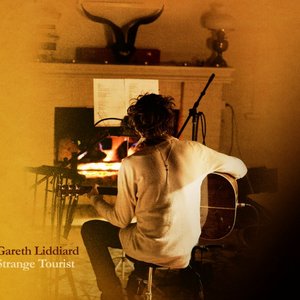Image for 'Strange Tourist'