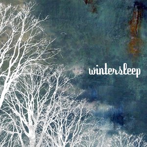 Image for 'Wintersleep'