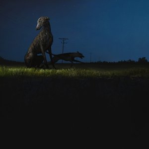 Image for 'donde van los perros'