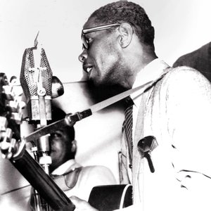 Image for 'Elmore James'