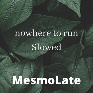 Image for 'MesmoLate'