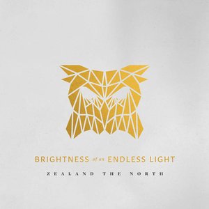 Image for 'Brightness of an Endless Light'