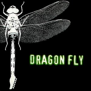 Image for 'Dragon Fly'
