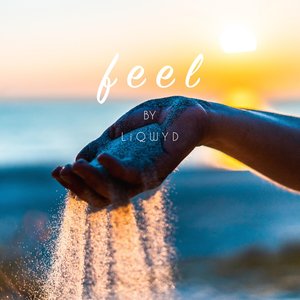 Изображение для 'Feel'