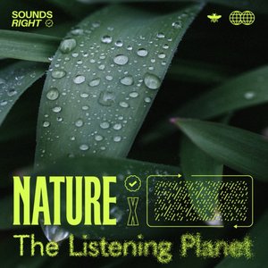 Bild för 'Nature's Rainfall Melodies'