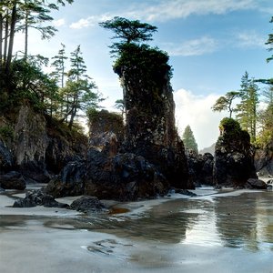 Image for 'Pacifica'