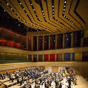 Imagem de 'Budapest Symphony Orchestra'