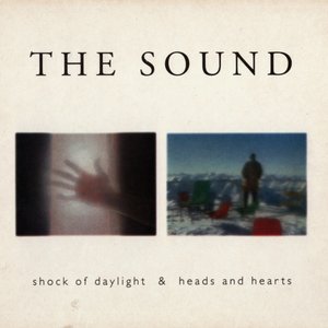“Shock Of Daylight / Heads And Hearts”的封面