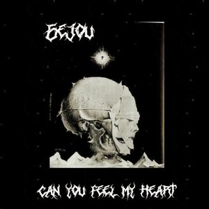 'Can You Feel My Heart' için resim