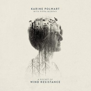 Image for 'A Pocket of Wind Resistance'