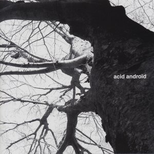 Image for 'acid android'