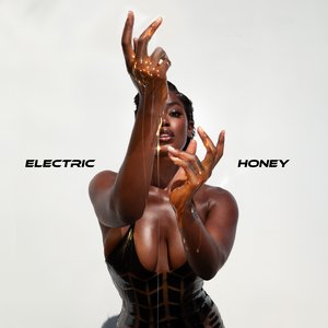 Image for 'Electric Honey'