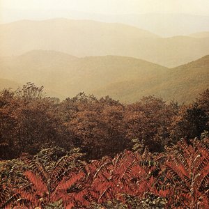 Image for 'Imaginary Softwoods (15 Year Anniversary Edition) [15th Anniversary Edition]'