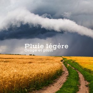 Image for 'Pluie légère'