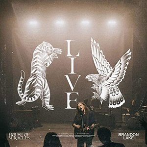 Immagine per 'House Of Miracles (Live)'
