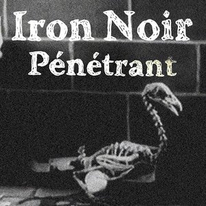 Image for 'iron noir'