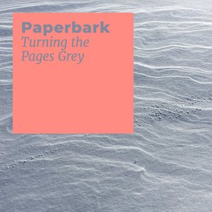 Image for 'Turning the Pages Grey'