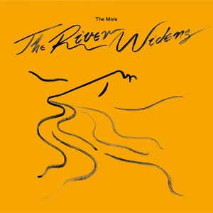 Image for 'The River Widens'