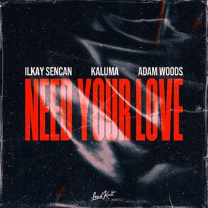 Image for 'Need Your Love'