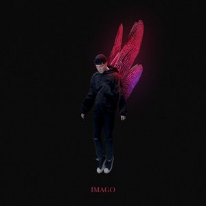“Imago”的封面