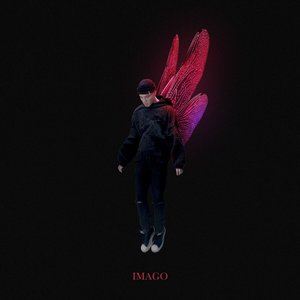 'Imago' için resim