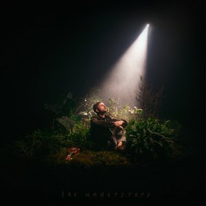Изображение для 'the understory'