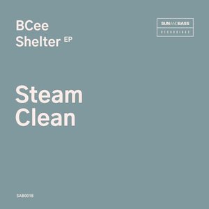 “Steam Clean”的封面