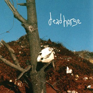 Bild für 'Horsecore: An Unrelated Story That’s Time Consuming'