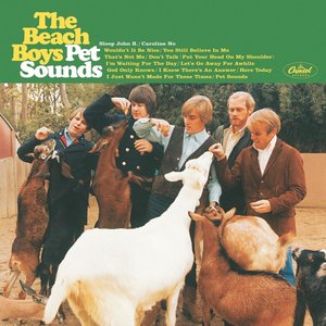 'Pet Sounds' için resim