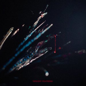 Image pour 'VIOLENT FEATHERS'