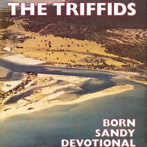 Image for 'Born Sandy Devotional'