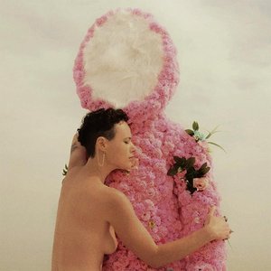 Image for 'Rubblebucket'