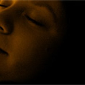 “Avell”的封面