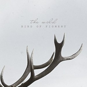 “The Wild”的封面
