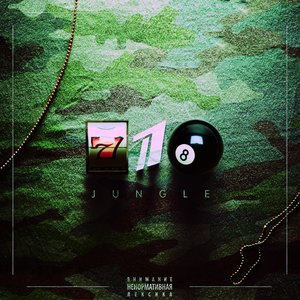 Image for '718 Jungle'