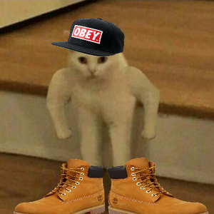 luumu_enjoyer