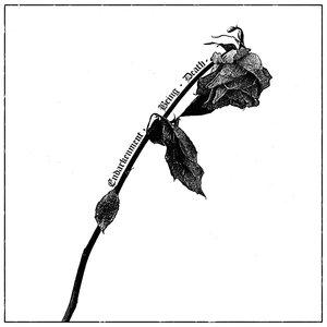 Bild für 'Endarkenment, Being & Death'