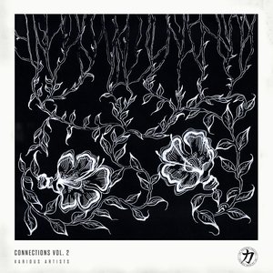 Image for 'Connections Vol. 2'