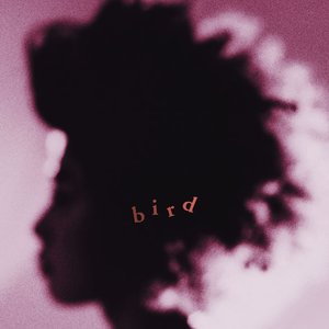 Image for 'bird'