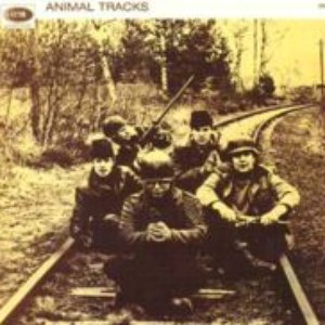 Image for 'Animal Tracks [UK]'