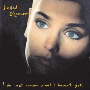 Image for 'I Do Not Want What I Haven't Got (Deluxe Edition)'