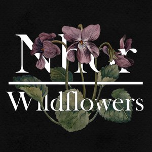 Image for 'Wildflowers: Winter'