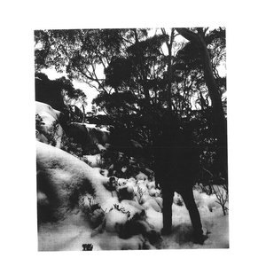 Image for 'Tasmania II'
