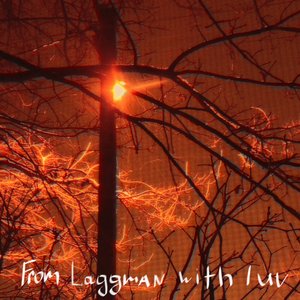Image for 'From Laggman with Luv'